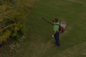 exterminator in long island ny