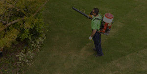 pest control services long island and fire island